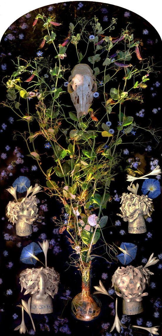 Artwork by Kahn & Selesnick