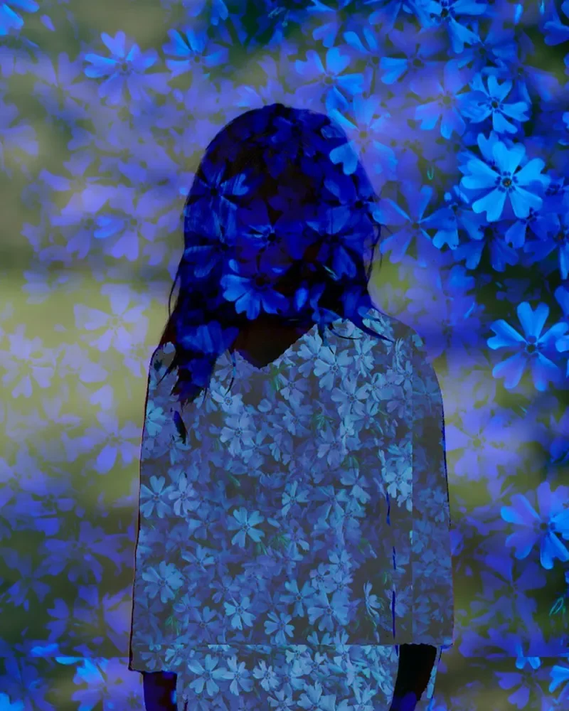 Artwork by Rachel Hulin